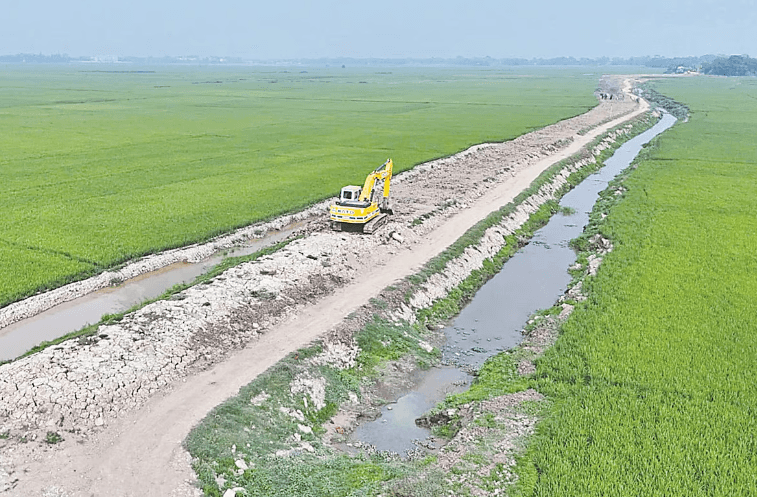Road construction through haor, disaster for farmers and agricultural land